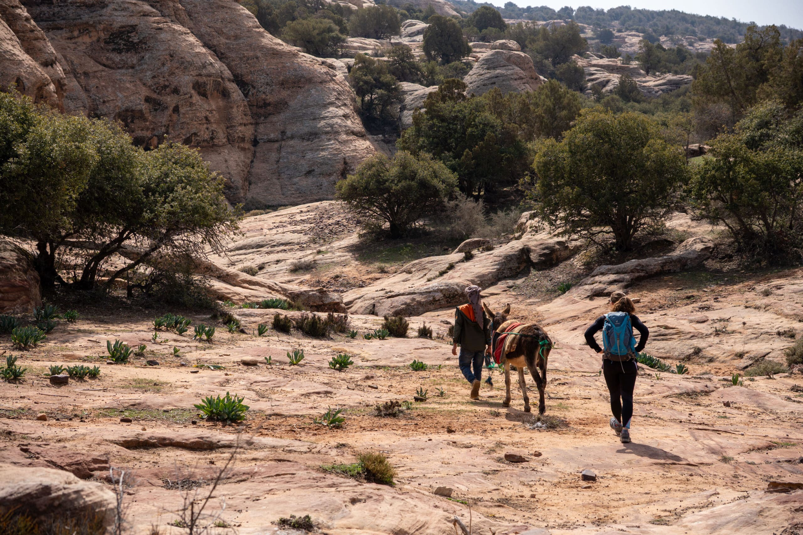 Dana Biosphere Reserve Hike, Jordan Trail
