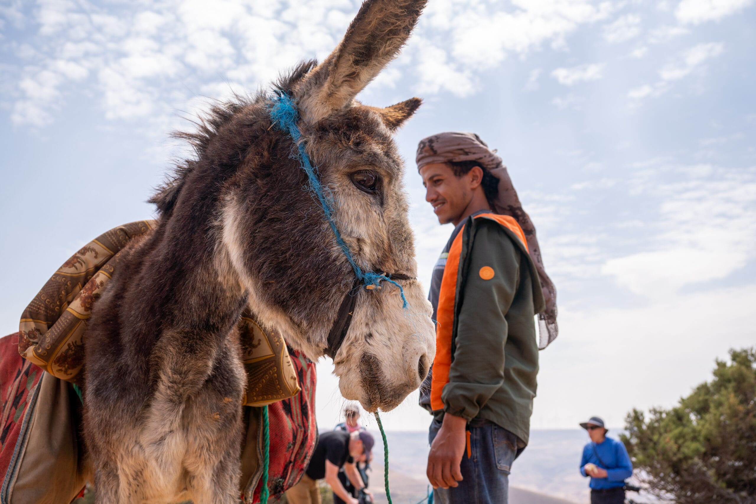 Atallah and his donkey on the hike from Dana to Petra