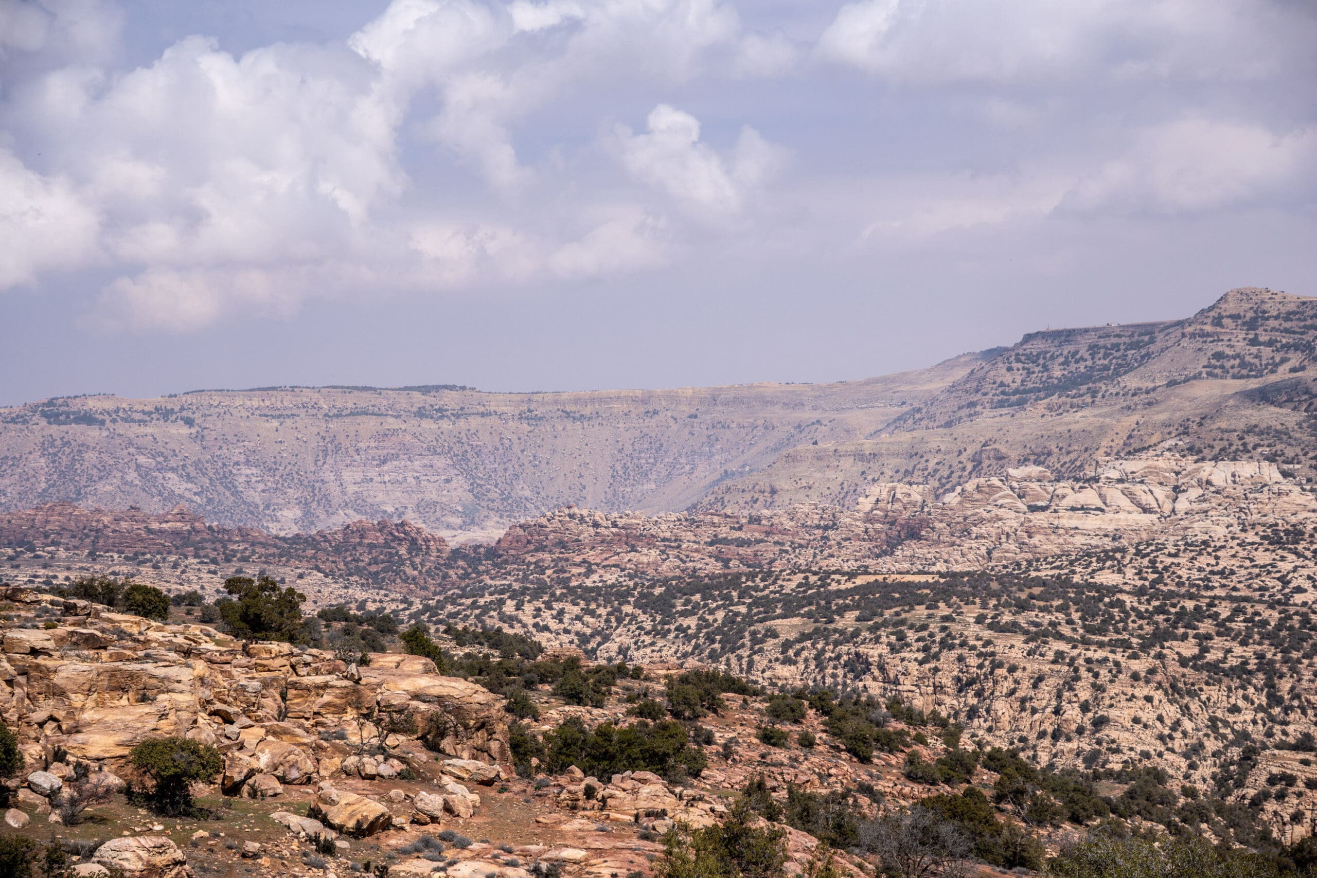 Dana Biosphere Reserve