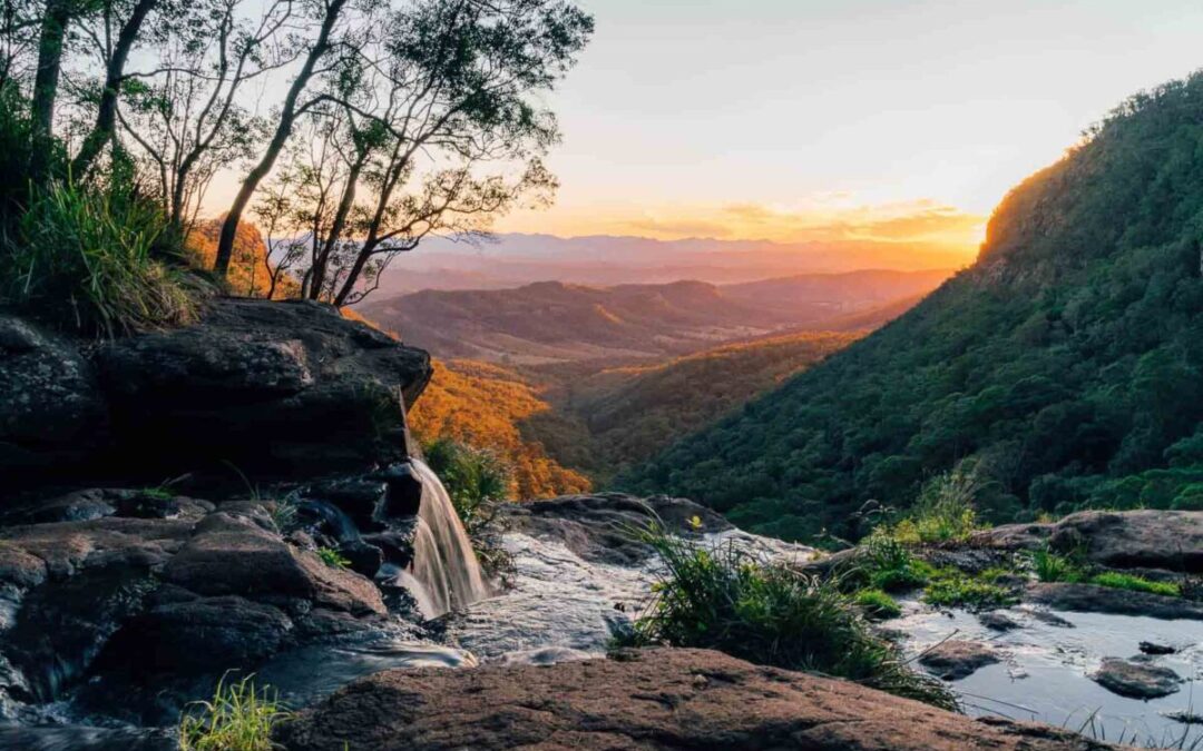 TOP 6 Best Hikes in the Gold Coast, Australia Guide – 2023
